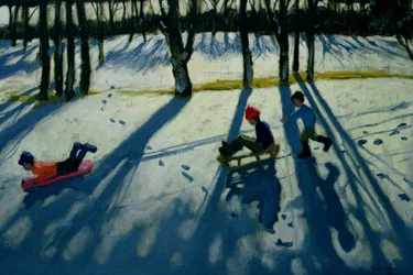 Boys Sledging, Allestree Park, Derby